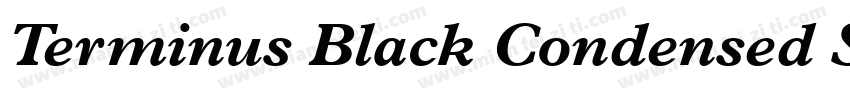 Terminus Black Condensed SSi Black字体转换